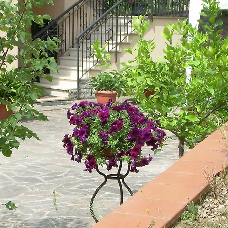 Crocino In Chianti Szálloda
