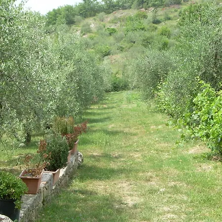 Crocino In Chianti Szálloda
